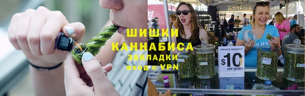 прущий лед Бородино