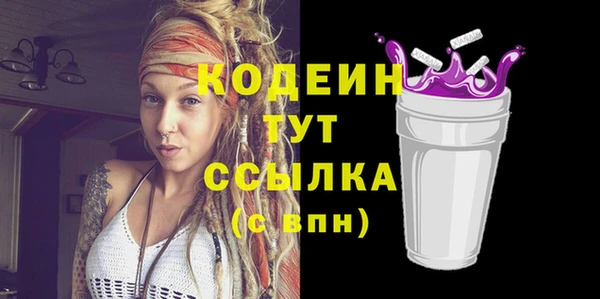 прущий лед Бородино