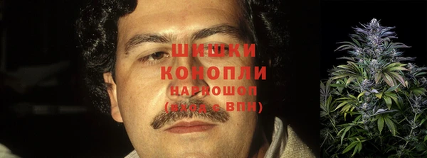 прущий лед Бородино