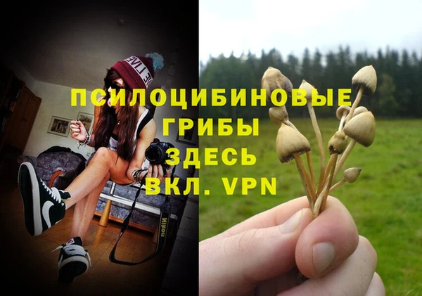 ALPHA-PVP Бугульма