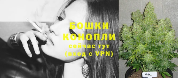 прущий лед Бородино