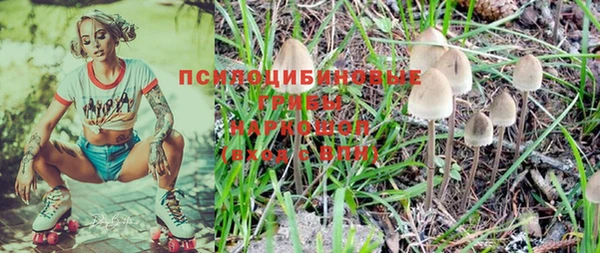 ALPHA-PVP Бугульма